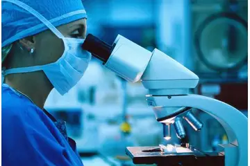 Kök Hücre Teknolojisi Kullanımı ve Faydaları Nelerdir?